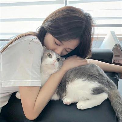 汉堡总动员