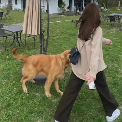 春心艳曲